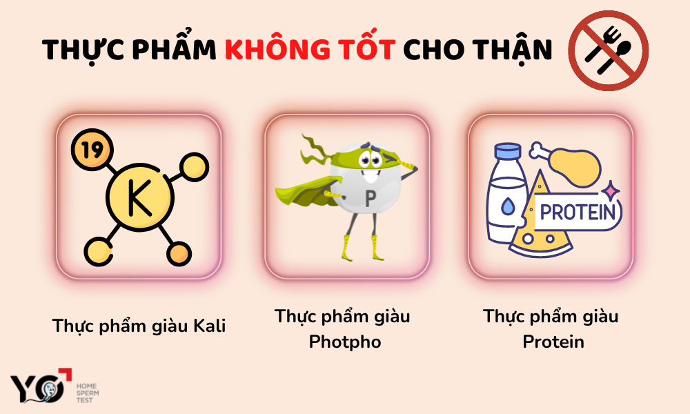 Thực phẩm nhiều Kali, Photpho và đạm khiến thận bị quá tải