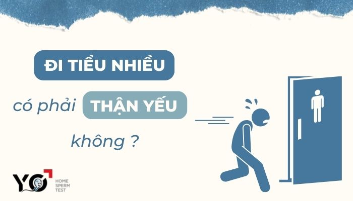 Thumb Yo 700 × 400 px 1