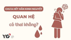 Thumb Yo 700 × 400 px 2