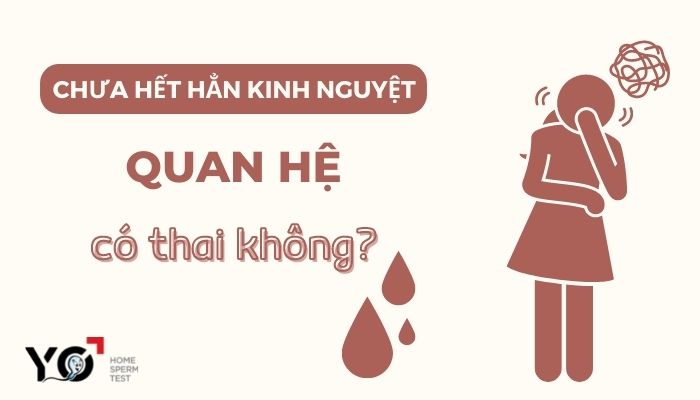Thumb Yo 700 × 400 px 2