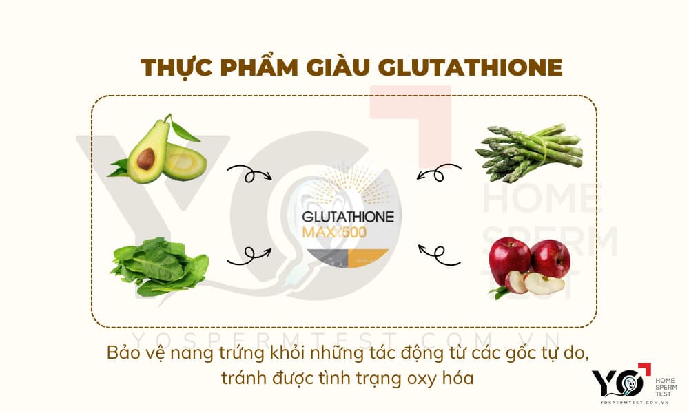 Thực phẩm giàu Glutathione