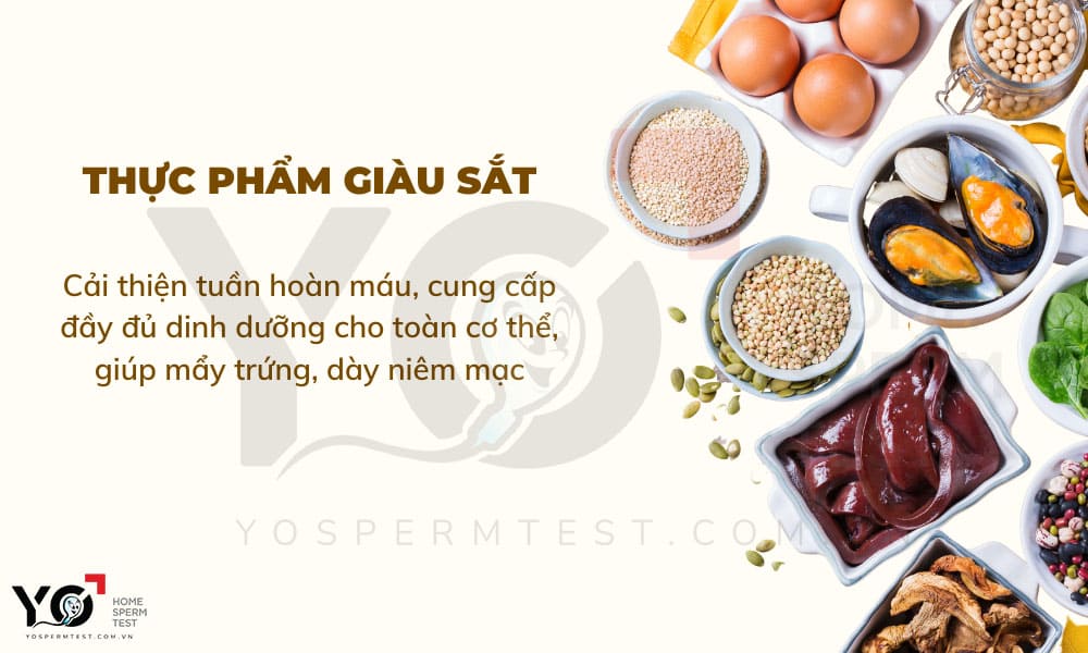 Thực phẩm giàu Sắt