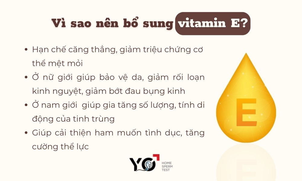 Vì sao nên uống vitamin E