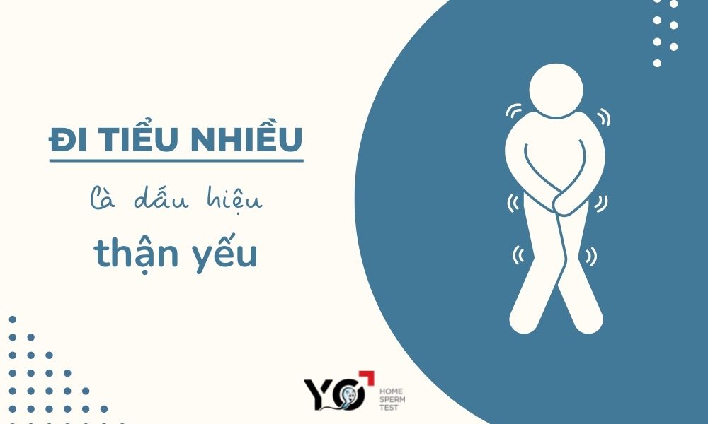 Tiểu nhiều là dấu hiệu của thận yếu