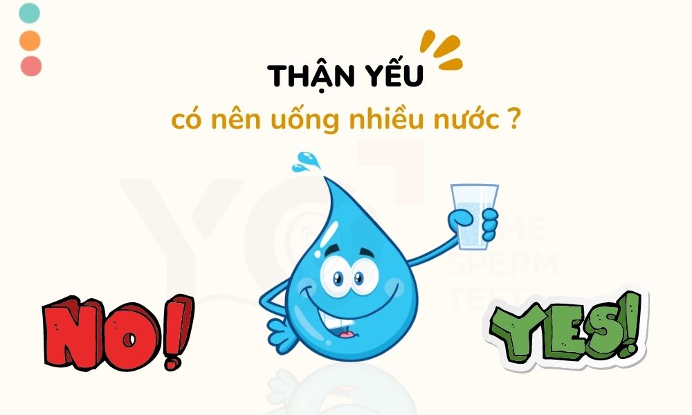 Thận yếu nên uống nhiều nước không?