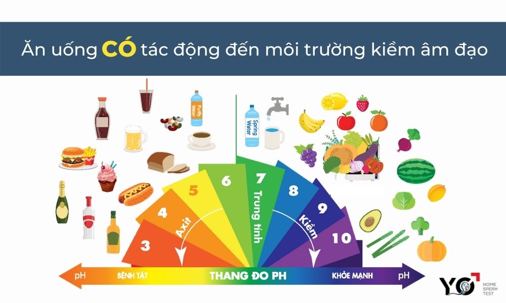 Thực phẩm tác động đến môi trường kiềm