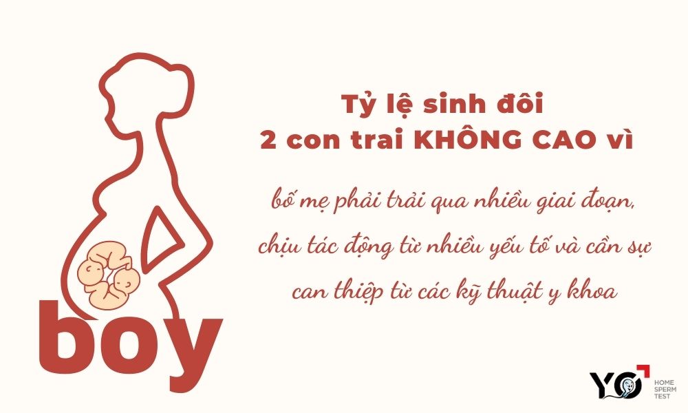 Tỷ lệ mang thai đôi con trai