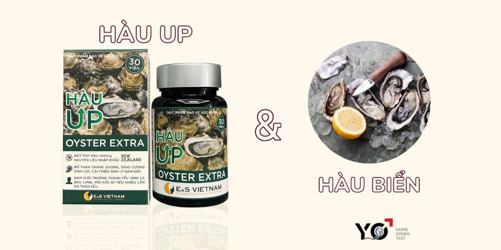 Hàu up
