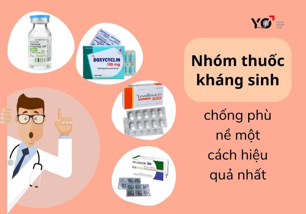 Nhóm thuốc kháng sinh