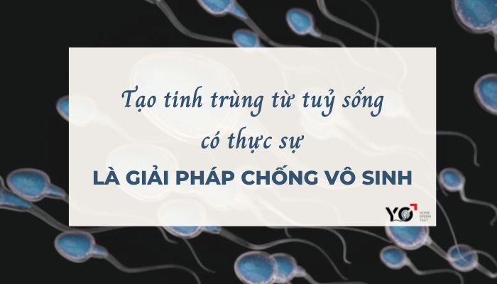 Thumb Yo 700 × 400 px 1