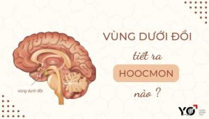 Thumb Yo 700 × 400 px 3