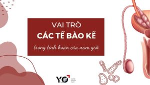 Thumb Yo 700 × 400 px 4
