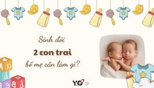 Thumb Yo 700 × 400 px 7