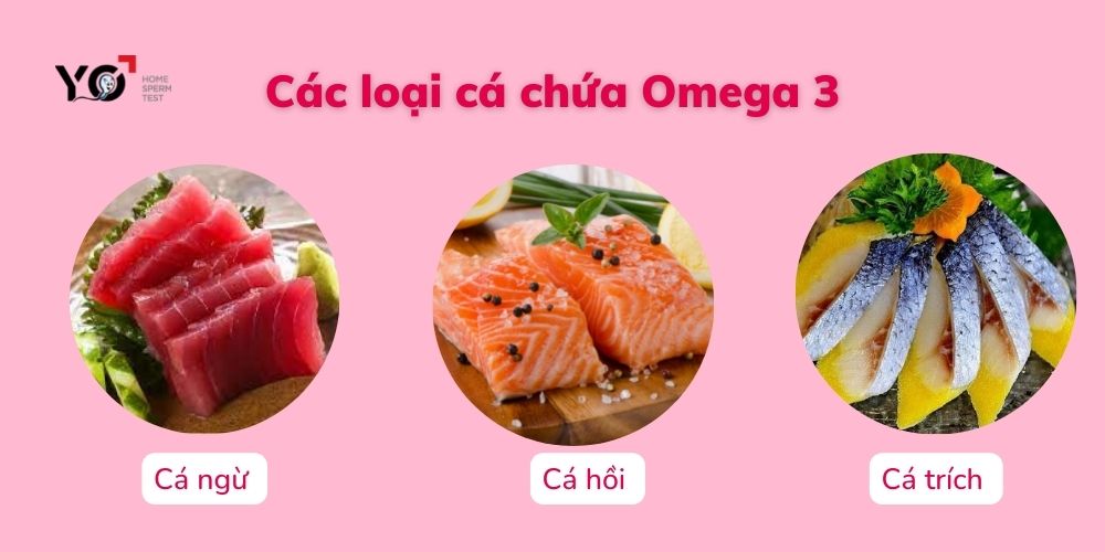 Cá giàu Omega 3