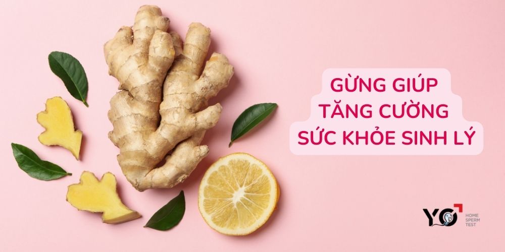 Gừng