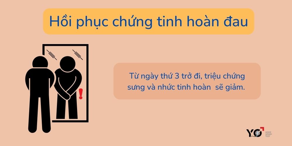 Hồi phục chứng tinh hoàn đau