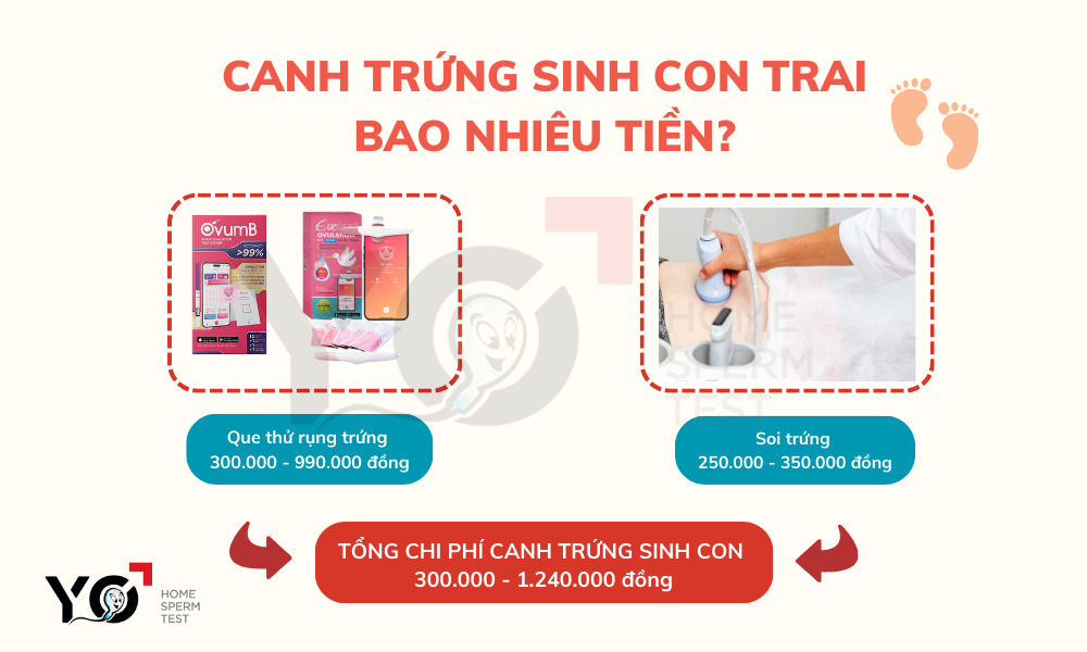 Canh trứng sinh con trai mất bao nhiêu tiền? Tùy vào từng trường hợp mà chi phí của phương pháp khác nhau