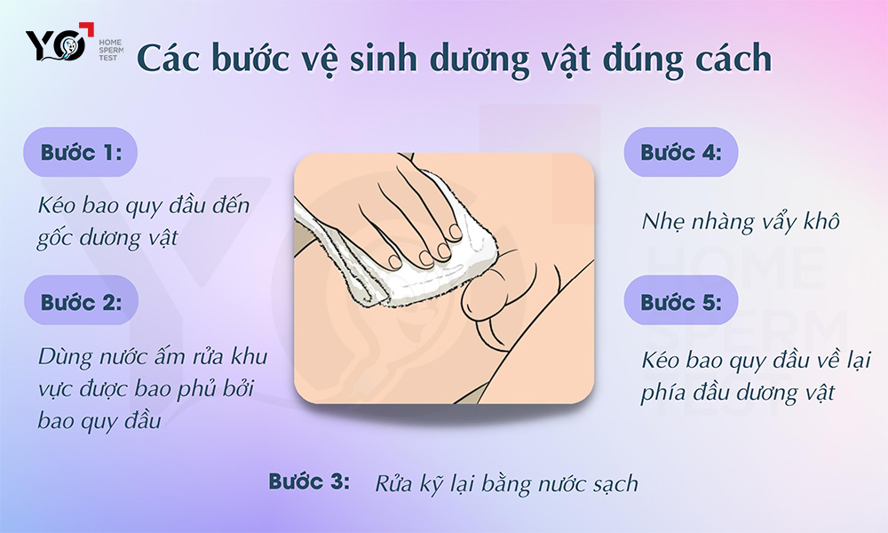 Các bước vệ sinh dương vật chuẩn nhất