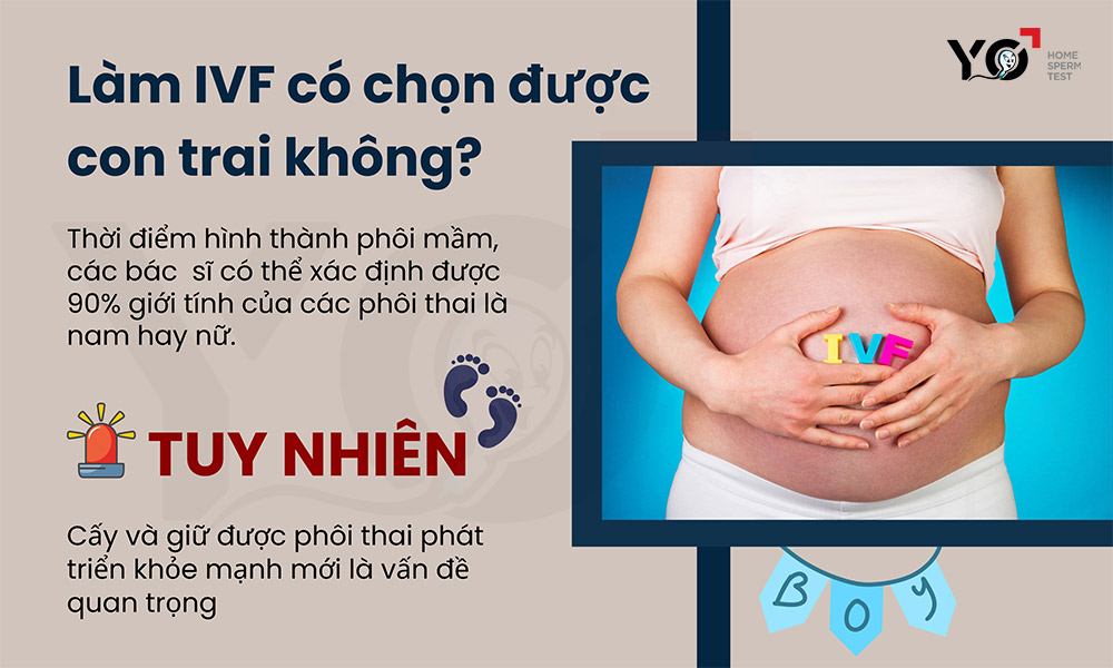 Có thể làm IVF để chọn con trai không