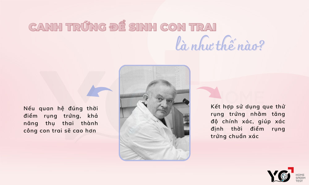 Như thế nào là canh trứng sinh con trai