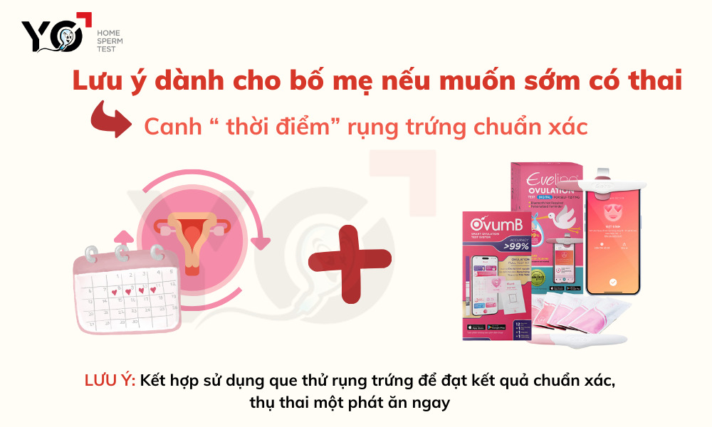 Xác định "thời điểm" rụng trứng chuẩn xác bằng que thử rụng trứng