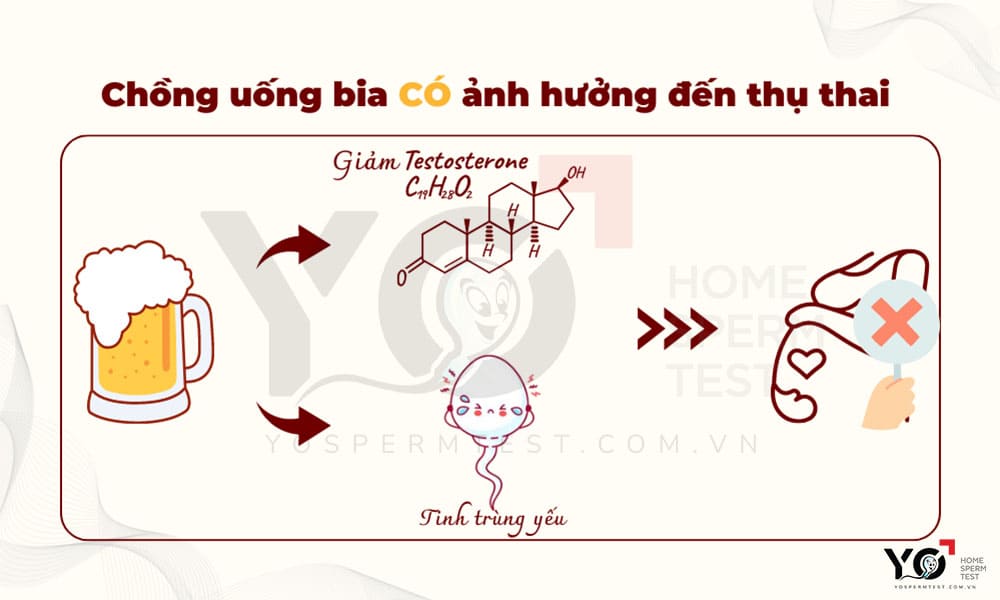 Nếu chồng uống bia thì sẽ ảnh hưởng đến việc thụ thai
