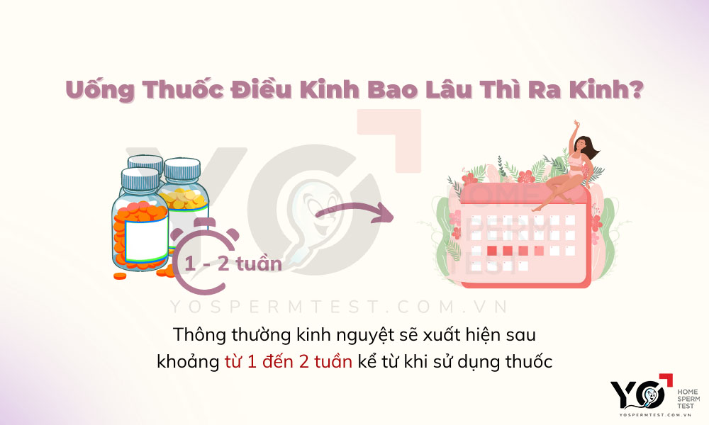 Kinh sẽ có khoảng từ 1-2 tuần sử dụng thuốc