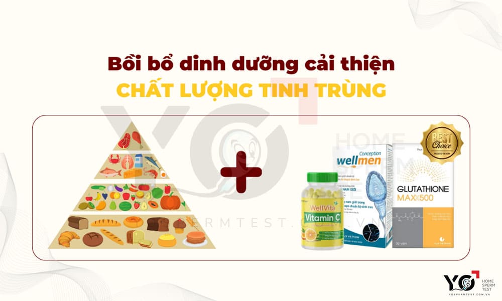 Để tăng cơ hội thụ thai, bố cần bổ sung đầy đủ dinh dưỡng
