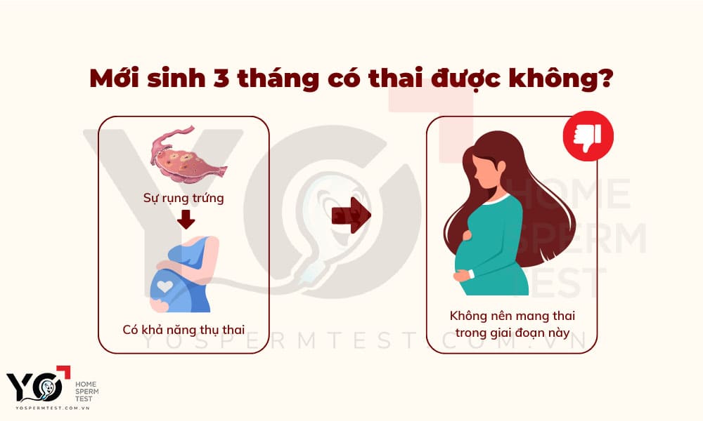 mới sinh 3 tháng khả năng mang thai có thể xảy ra