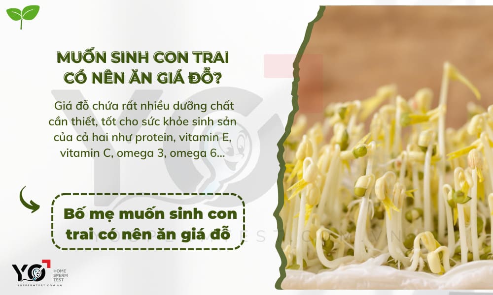 Bố mẹ nên ăn giá đỗ nếu muốn sinh con trai