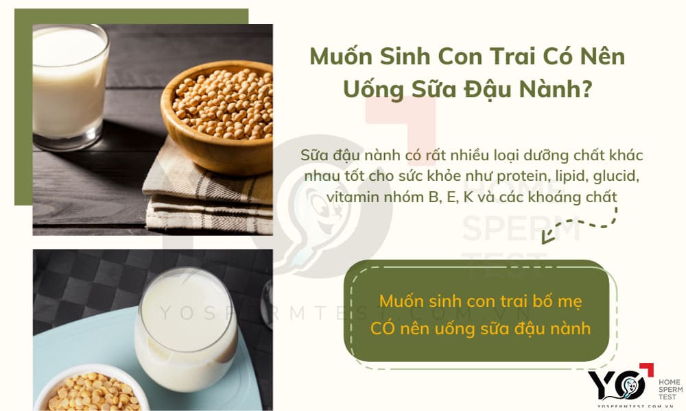Muốn sinh con trai bố mẹ vẫn nên uống sữa đậu nành để được cung cấp đầy đủ dinh dưỡng 