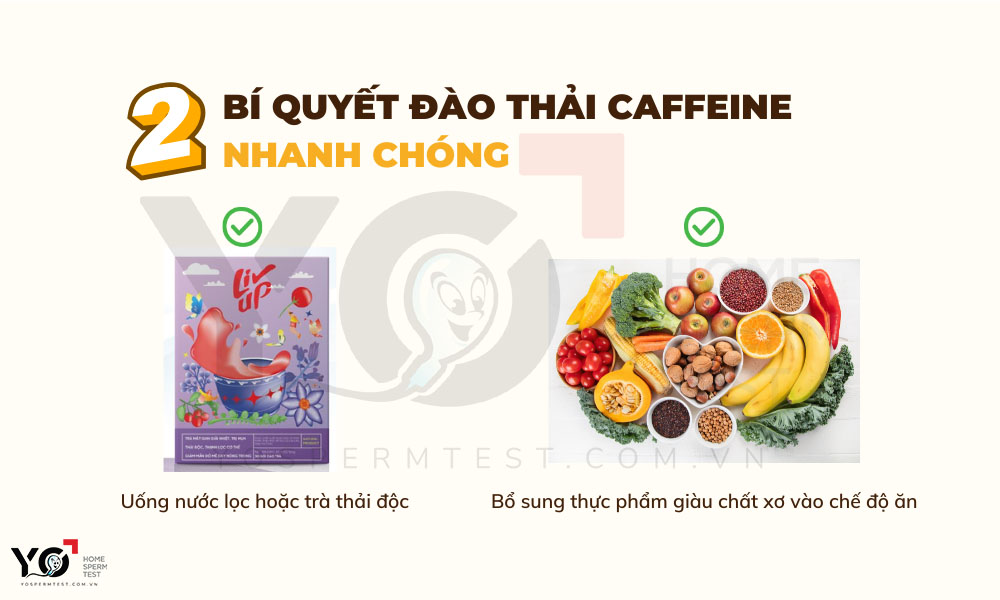 Bí quyết đào thải caffeine hiệu quả
