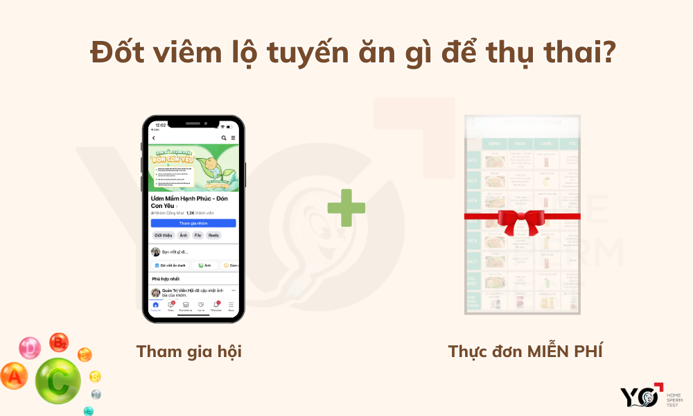 Nhận ngay thực đơn dinh dưỡng giúp mẹ sớm mang thai như ý