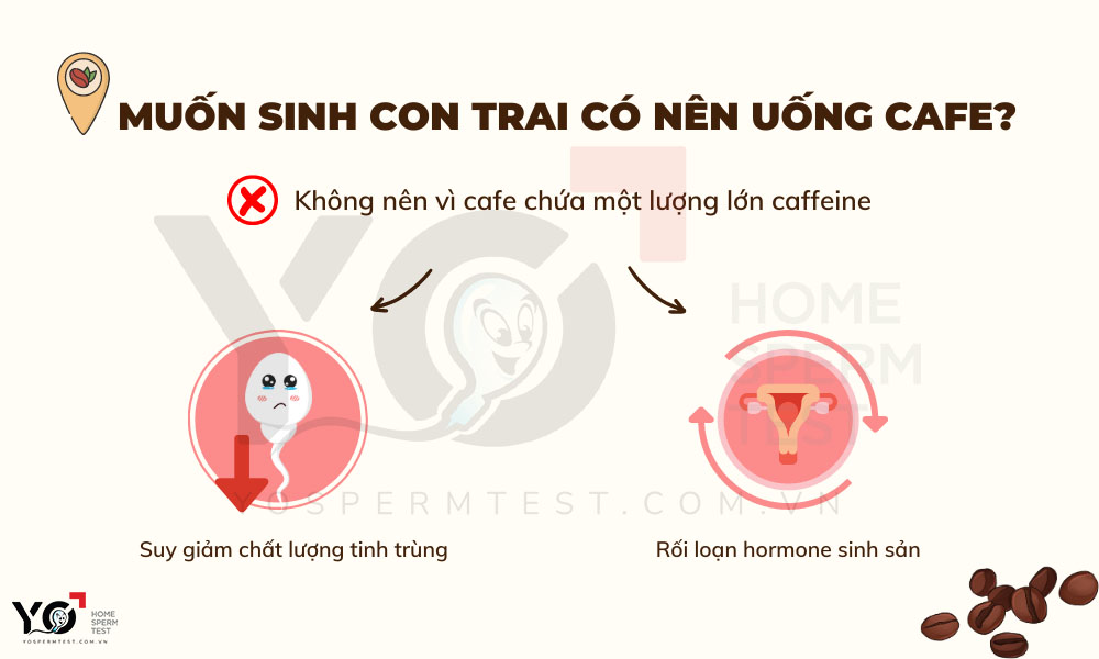 Bố mẹ không nên uống cafe nếu muốn sinh con trai