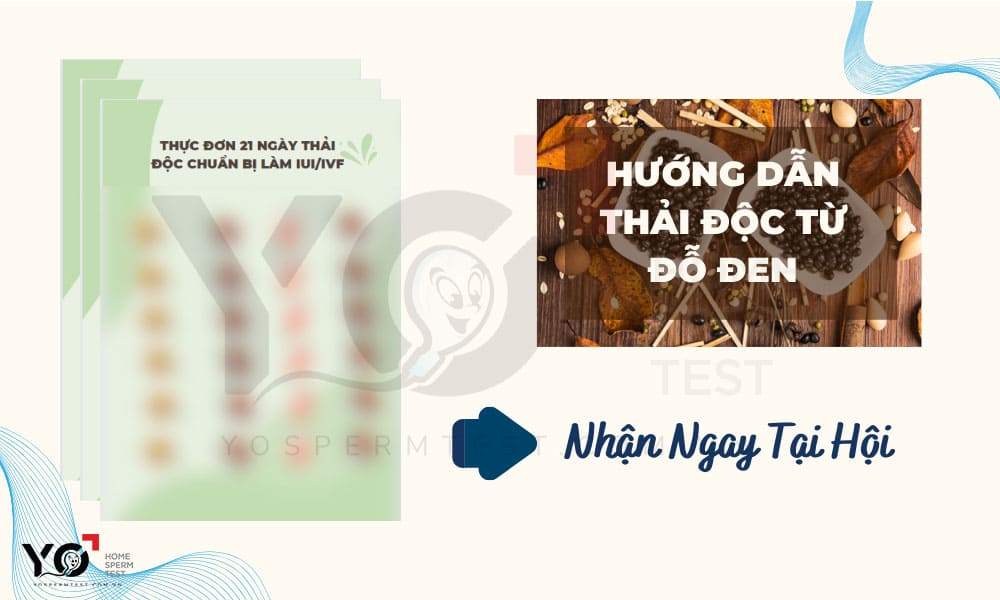 Thải độc cơ thể để làm IUI/IVF thành công