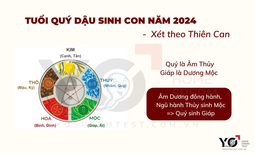 Xét Theo Thiên Can
