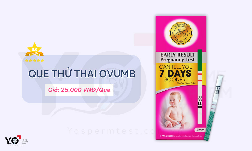 Que thử thai OvumB được nhiều chị em tin dùng 